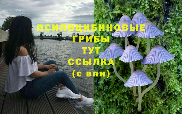PSILOCYBIN Арсеньев