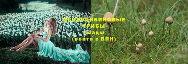 ALPHA PVP Аркадак